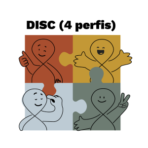 perfil comportamental disc. 4 perfis